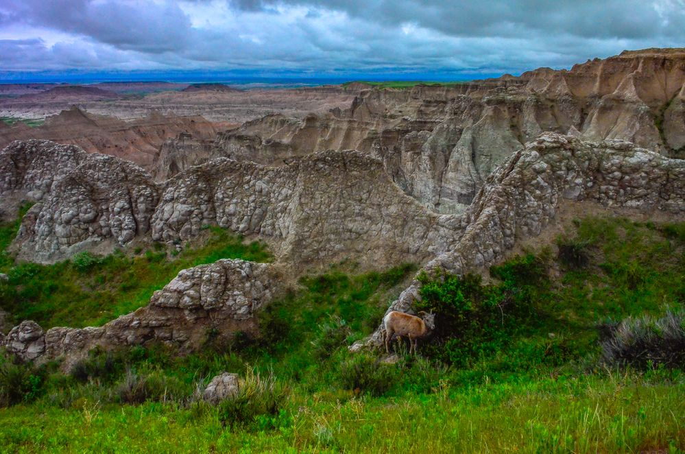 Badlands National Park
