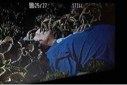 tim-carpenter-beating (1).jpg