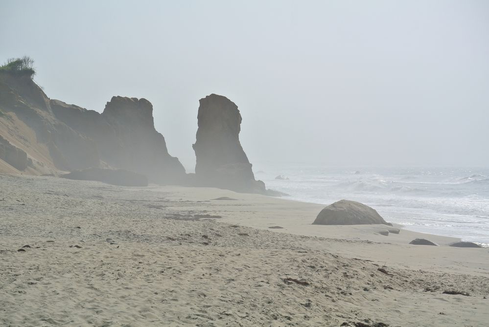 DSC_2000.JPG