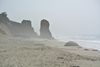 DSC_2000.JPG