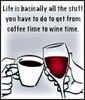 FB_IMG_1550877784284.jpg