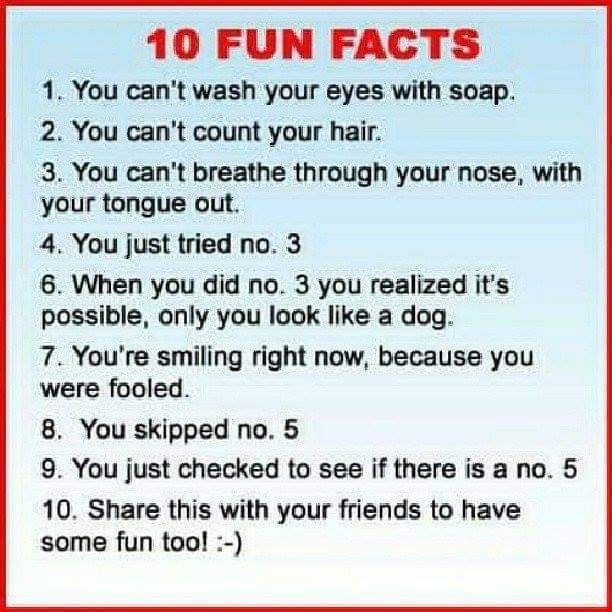 10888408_795808240474628_7578051489873852727_n.jpg