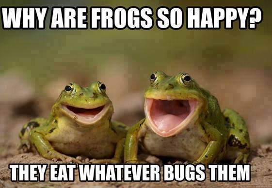 Ribbitt!