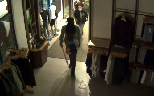 Suspect 3-500x312.png