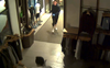 Suspect 8-500x311.png
