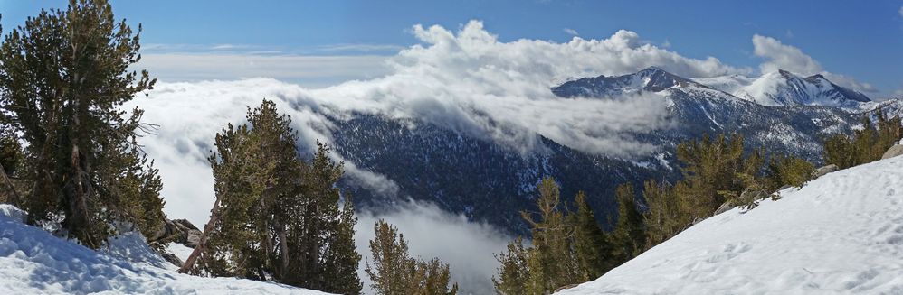 HEAVENLY FOG PANORAMA