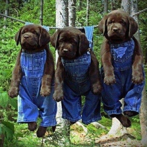 Hang in there!