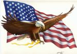 eagle_flag.jpg