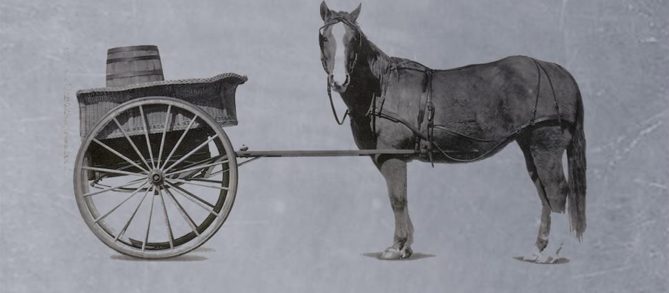 21609-cart-horse_3.jpg