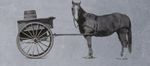 21609-cart-horse_3.jpg