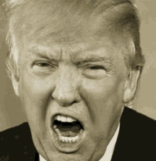 H Trump Hitler.gif