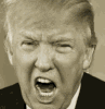 H Trump Hitler.gif
