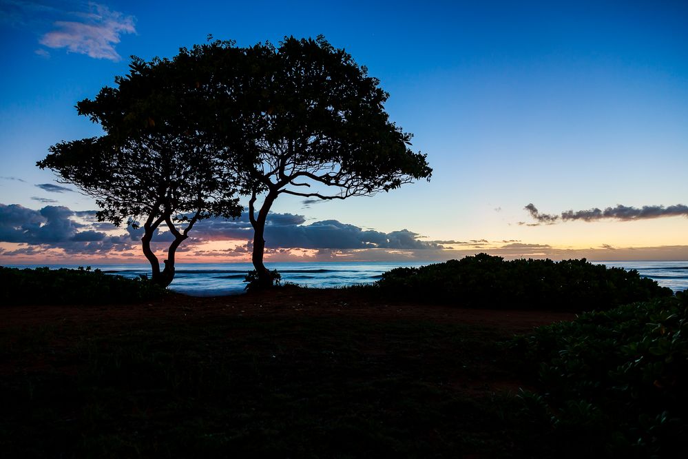 Together in Kauai