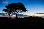 Together in Kauai
