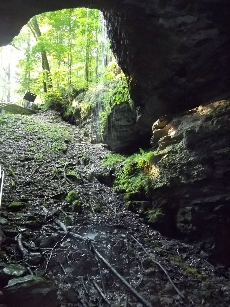 Mammoth Cave.JPG
