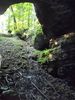 Mammoth Cave.JPG
