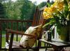 morning-coffee-24679288.jpg