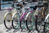 DSC07069.JPG