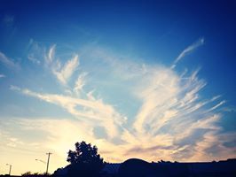 Angel Wings in the Sky.jpg