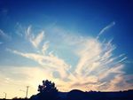 Angel Wings in the Sky.jpg