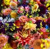 loads of flowers.jpg