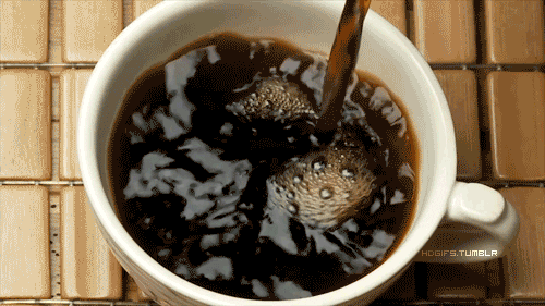 giphy (1).gif