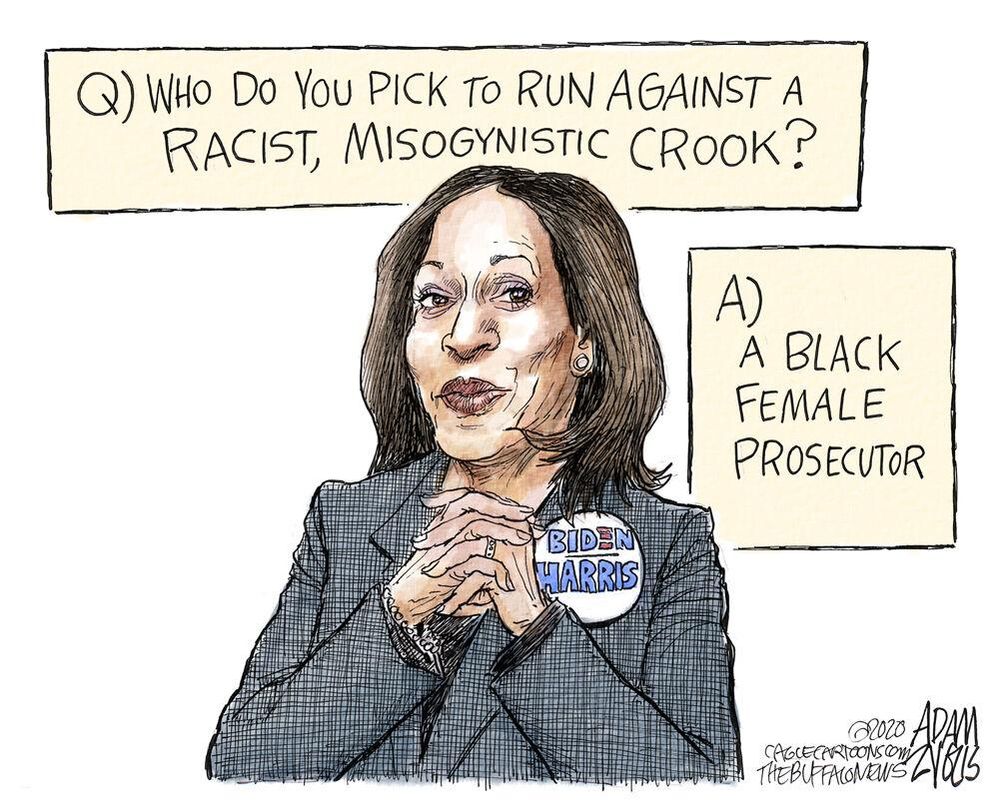 crook.jpg