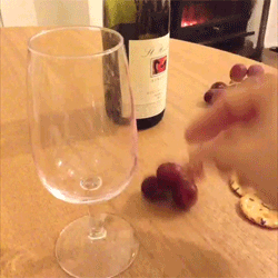 grapes-to-wine.gif