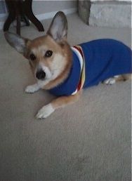 image.jpg