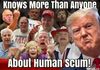 j4gkfch8qcu31 (1).jpg