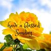 good-morning-everyone-have-a-blessed-sunday-with-yellow-roses.jpg