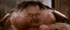 giphy (1).gif