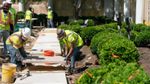 200822113305-04-white-house-rose-garden-renovation-exlarge-169.jpg