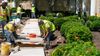 200822113305-04-white-house-rose-garden-renovation-exlarge-169.jpg