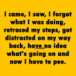 117784970_1333563640321552_1032164429039184488_o.png