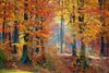 autumnal-equinox-fall_full_width.jpg
