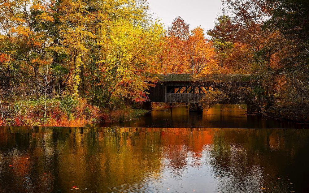 fall-bridge.jpg
