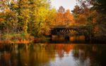 fall-bridge.jpg