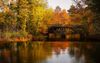 fall-bridge.jpg