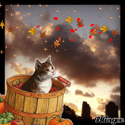 cat in basket of leaves.gif