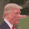 tenor (10).gif