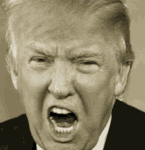H Trump Hitler.gif