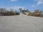 DSC00675.JPG