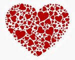 heart.jpg