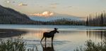 nature_P4a_720x350.jpg.img.jpg