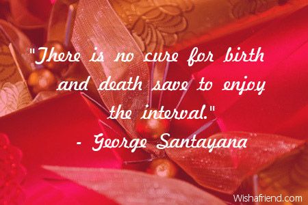 There-is-no-cure-for-birth-and-death-save-to-enjoy-the-interval.-George-Santayana.jpg