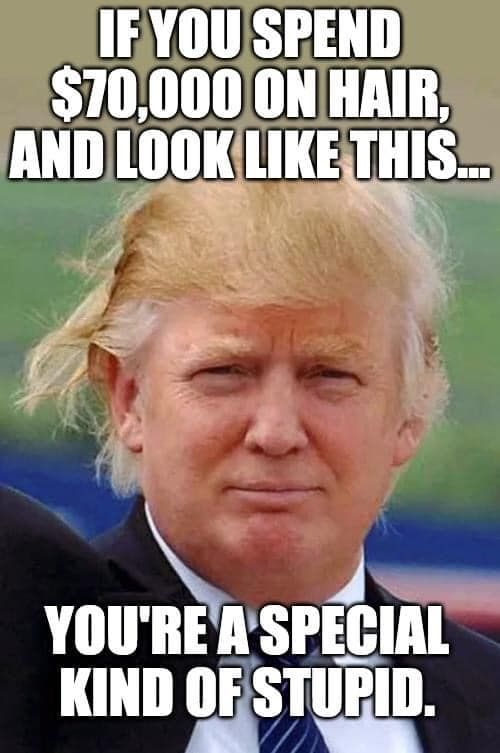 trump-hair-stupid.jpg