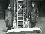 dalmatians_firedept_policedogs1943_wm-1-min.jpg