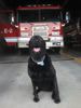 fire-smokey.jpg