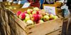 950350a8-2752-4cb9-b246-dbac56b531fe-apples.jpg